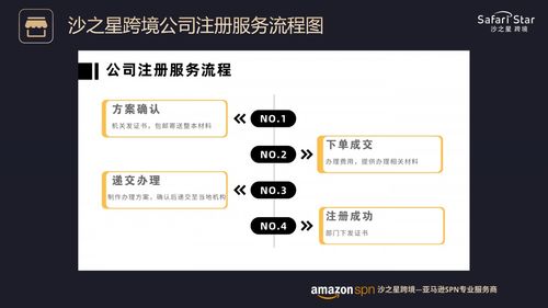 沙之星跨境公司及主要業(yè)務(wù)介紹