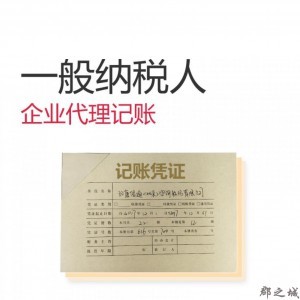 一般納稅人企業(yè)代理記賬(內(nèi)資)