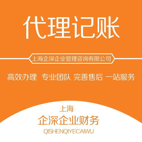 華新鎮(zhèn)代理公司財(cái)務(wù)記賬