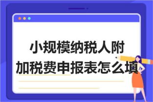 湖南財稅代理記賬之小規(guī)模納稅人附加稅費申報表怎么填